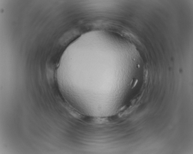 X0000067390333200604281849