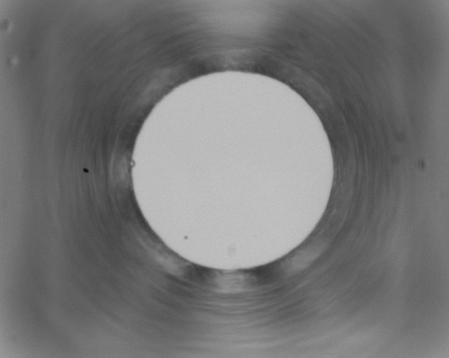 X0000067390336200604281849