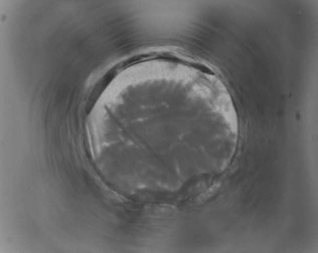 X0000067390337200604281848