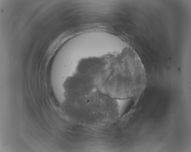 X0000067390339200604281848