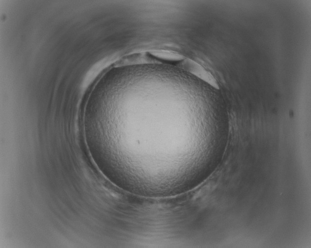 X0000067390340200604281848