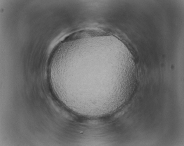 X0000067390344200604281848