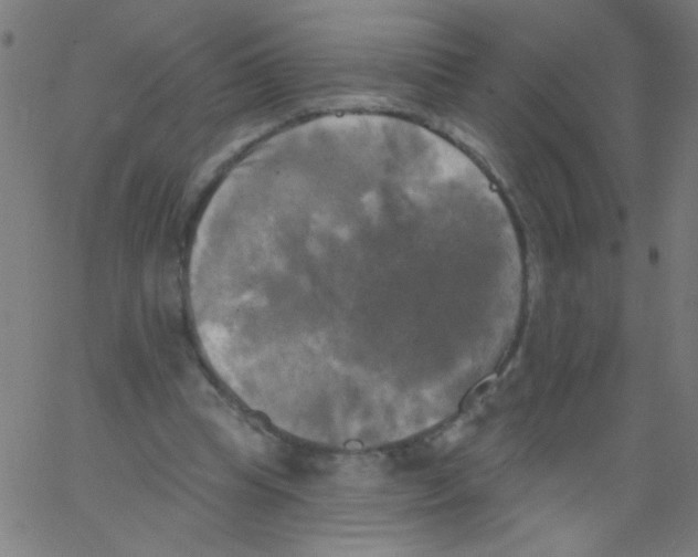 X0000067390345200604281848