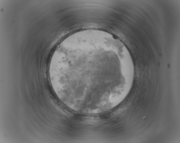 X0000067390347200604281848