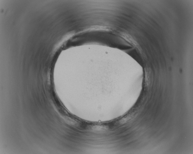 X0000067390348200604281848