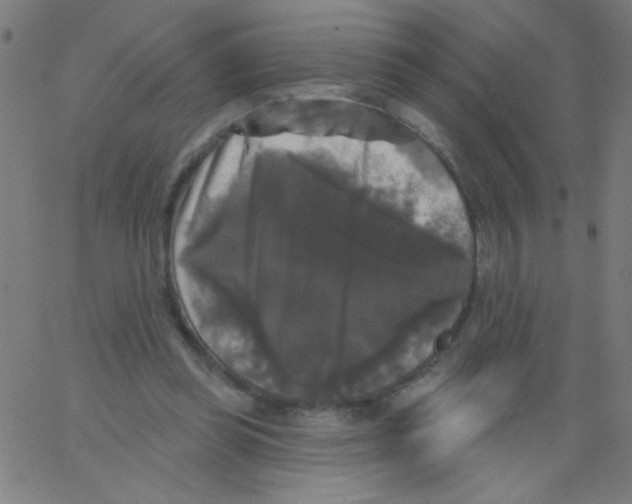 X0000067390349200604281848