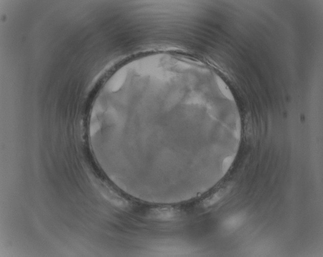 X0000067390351200604281848