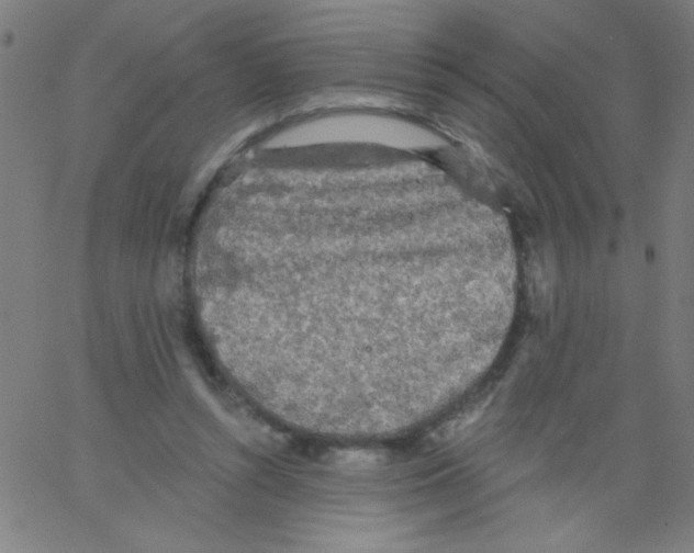 X0000067390352200604281848