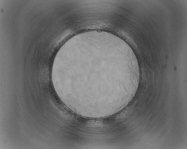 X0000067390354200604281848