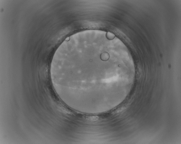 X0000067390355200604281848