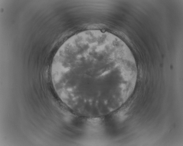 X0000067390357200604281848