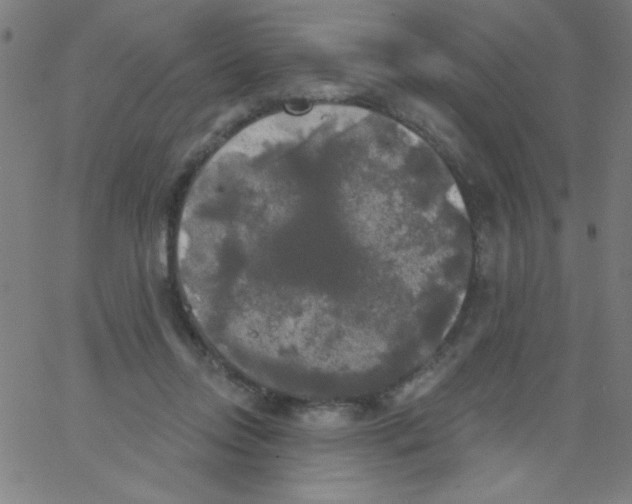 X0000067390358200604281848