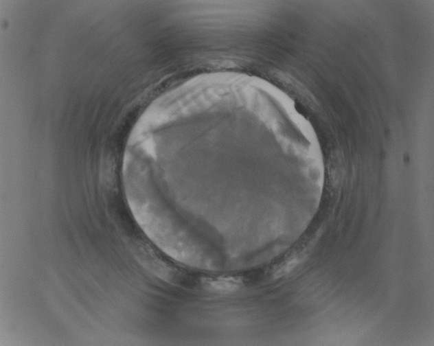 X0000067390359200604281848