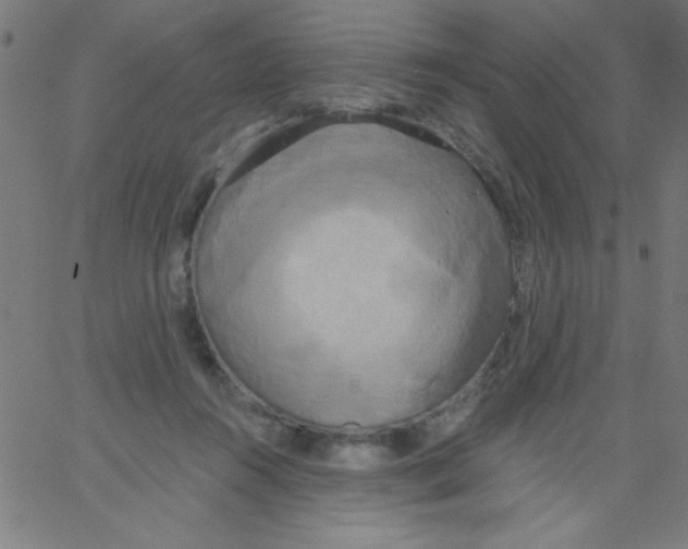 X0000067390360200604281848