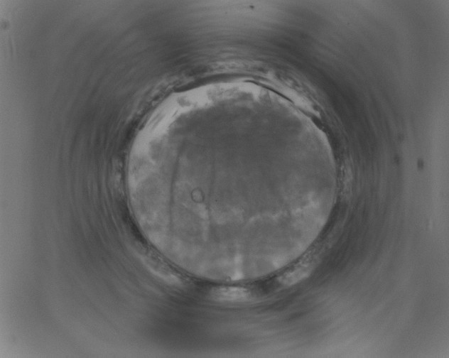 X0000067390361200604281848