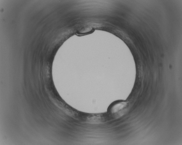 X0000067390362200604281848