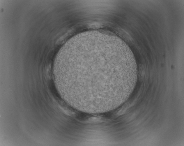 X0000067390364200604281848