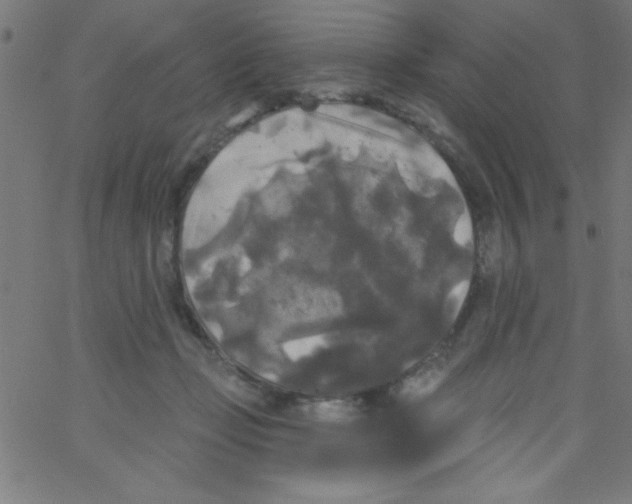 X0000067390365200604281848