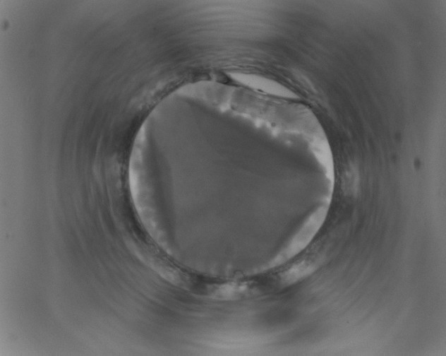 X0000067390366200604281848