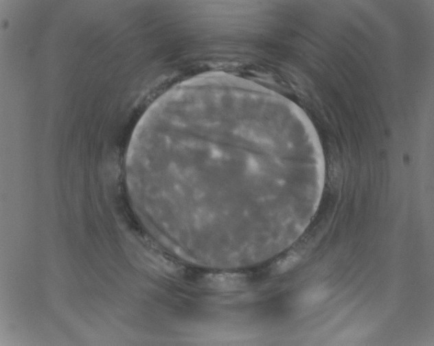 X0000067390367200604281848