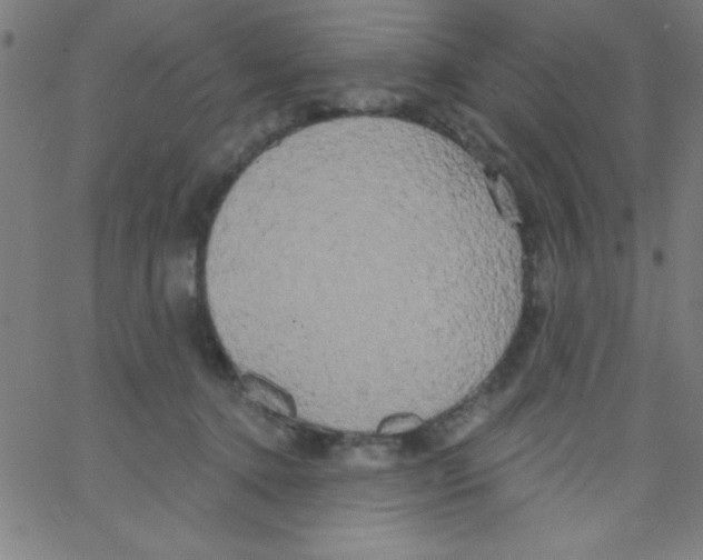 X0000067390368200604281848