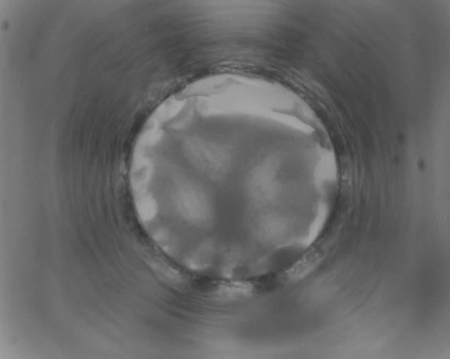 X0000067390369200604281848