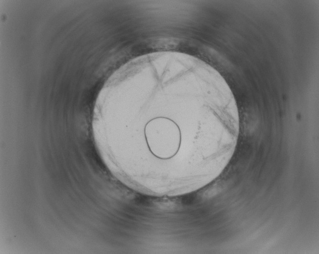 X0000067390370200604281848