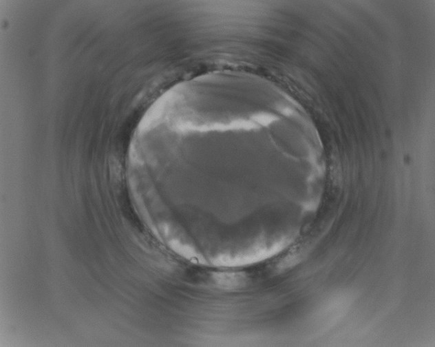 X0000067390371200604281848