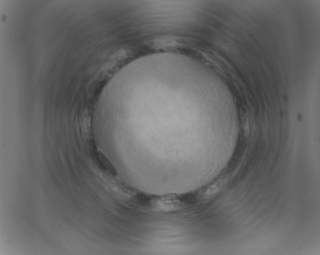 X0000067390372200604281848