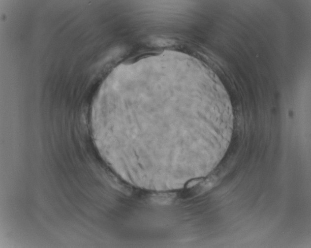 X0000067390373200604281848