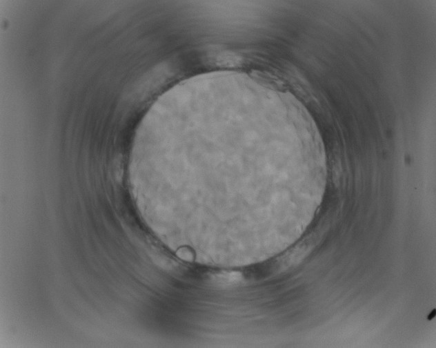 X0000067390374200604281848