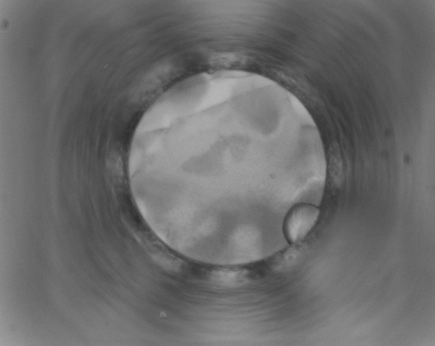 X0000067390375200604281848