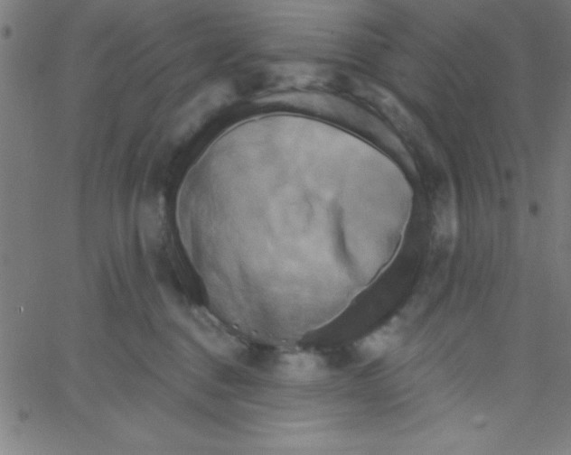 X0000067390376200604281848