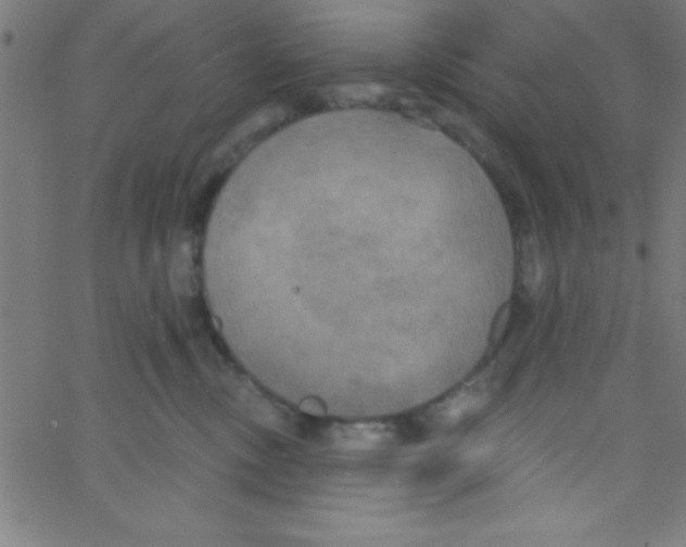 X0000067390378200604281848