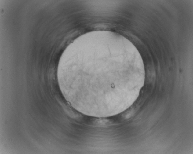 X0000067390379200604281849