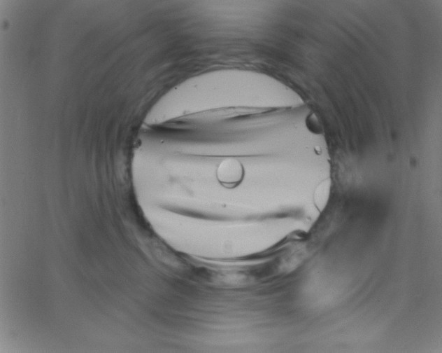 X0000067390380200604281849