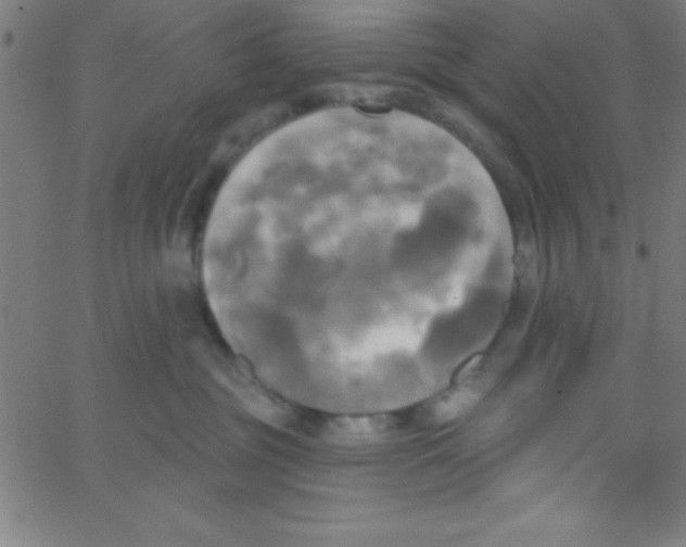 X0000067390381200604281849