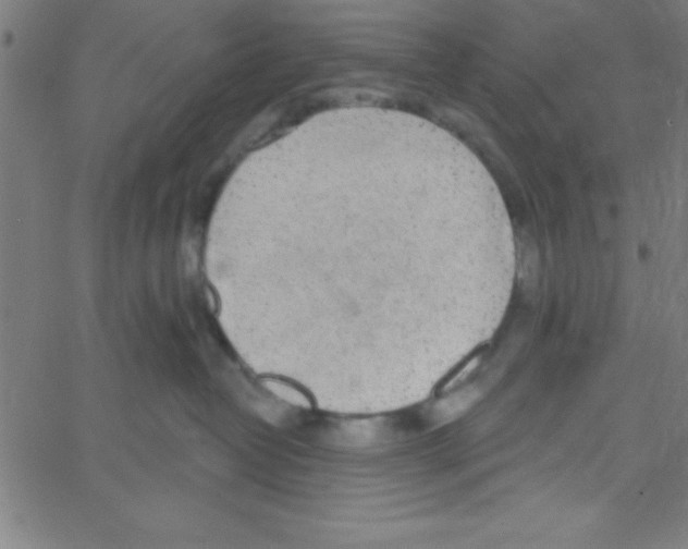 X0000067390382200604281849