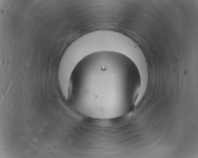 X0000067390383200604281849