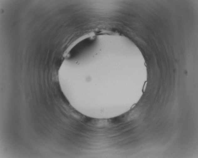 X0000067390384200604281849