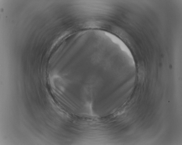 X0000067390386200604281848