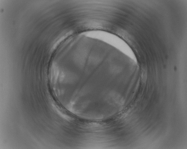 X0000067390390200604281848