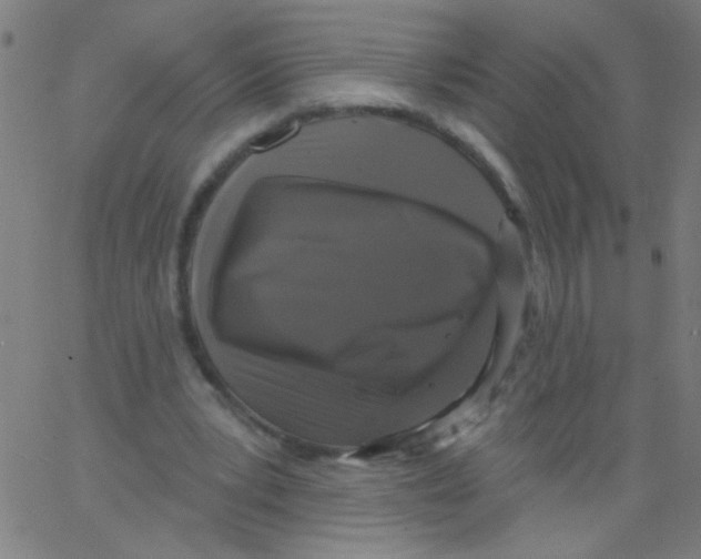 X0000067390391200604281848