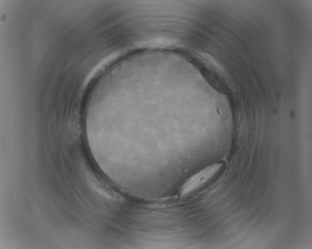 X0000067390392200604281848