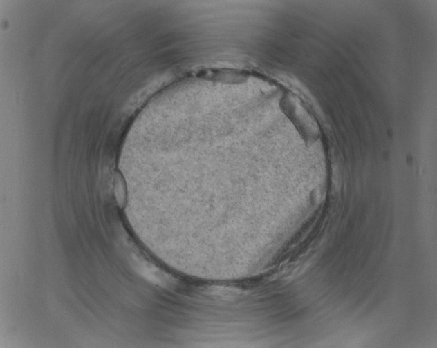 X0000067390393200604281848