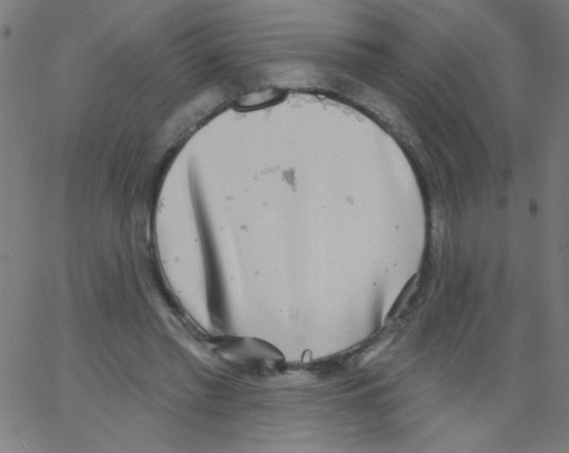 X0000067390397200604281848