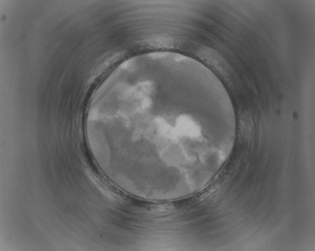 X0000067390398200604281848