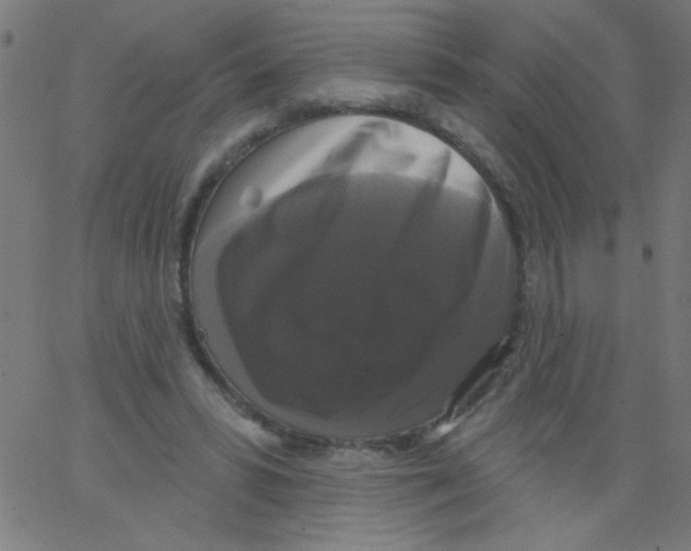 X0000067390399200604281847