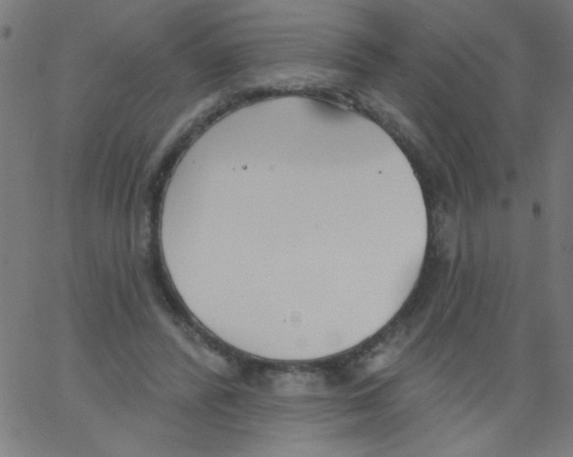 X0000067390400200604281847