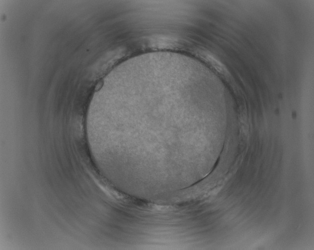 X0000067390401200604281847